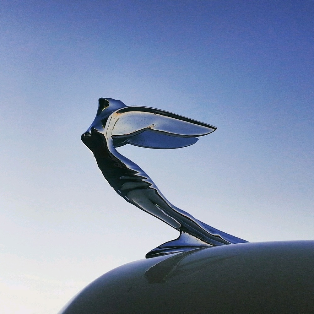 Meet your Posher, Dave